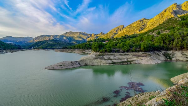 Baignade : où il vaut mieux ne pas se jeter à l'eau cet été sur la Costa Blanca