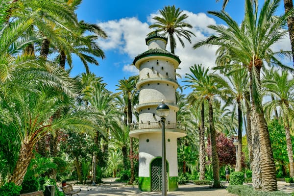Palmeral d'Elche et huertas d'Alicante : le paysage agricole expliqué