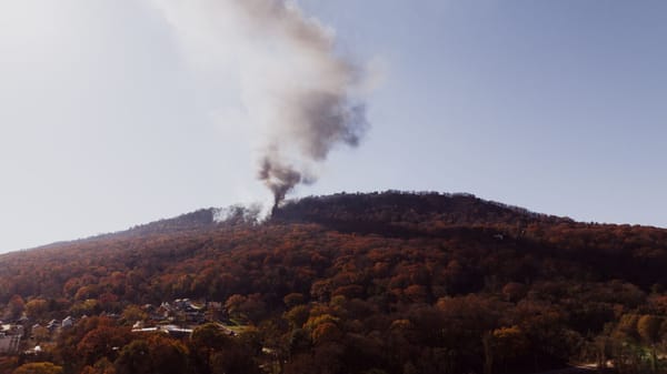 Incendie de Collserola : la presse espagnole fait le point