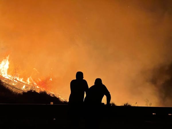 Bosbrand Polop verwoest 36 hectare, twee wegen dicht